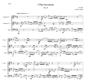 Sample of the score for this piece