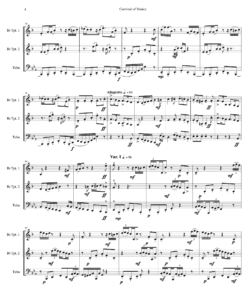 Sample of the score for this piece